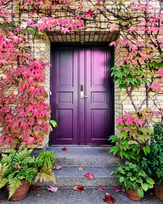 Purple Door