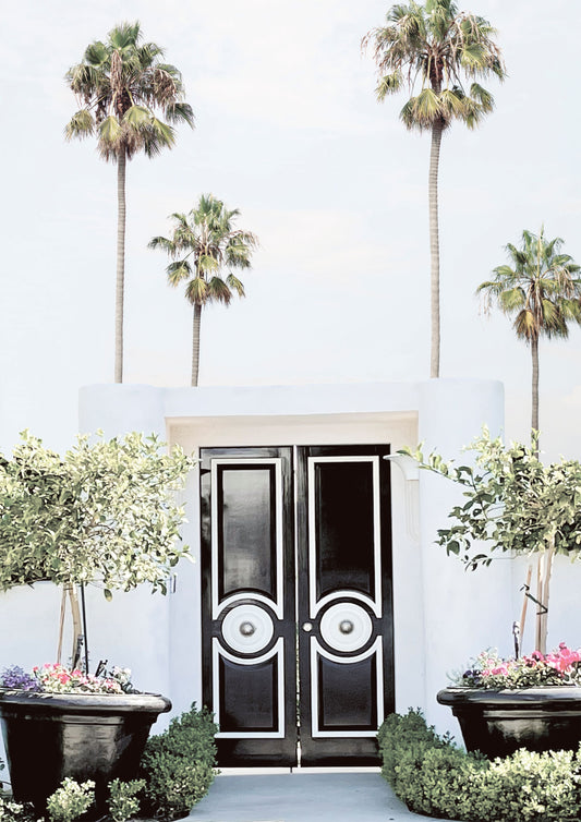 Palm Springs Black Doors