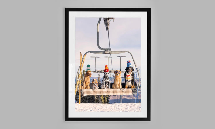 Chairlift Pups, Aspen