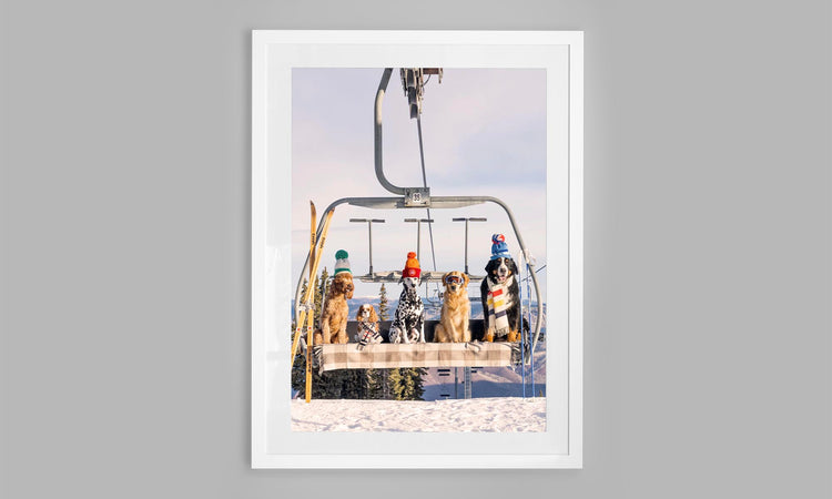 Chairlift Pups, Aspen