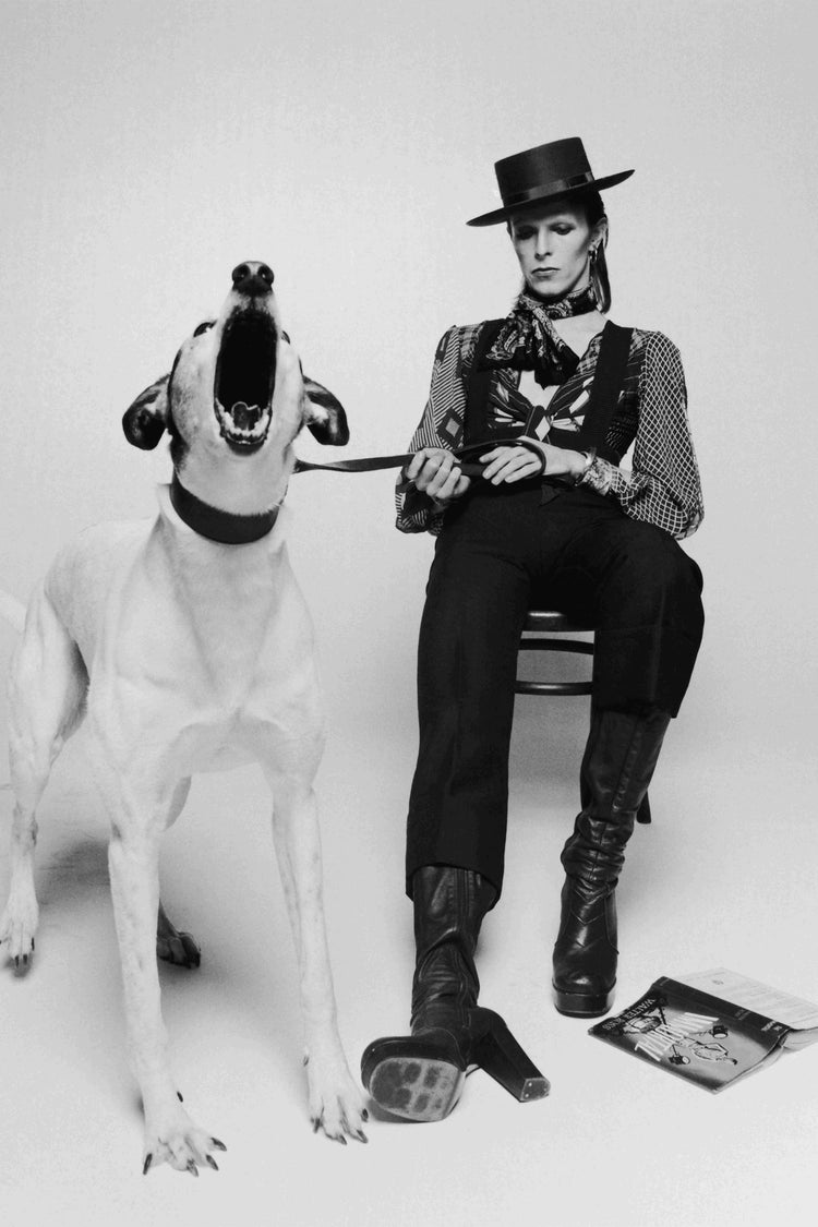 David Bowie Diamond Dogs (1974)