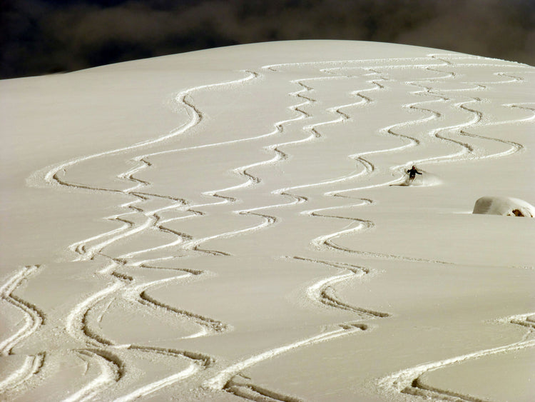 Powder Paradise