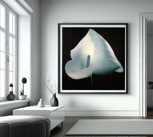 Calla Lily - White