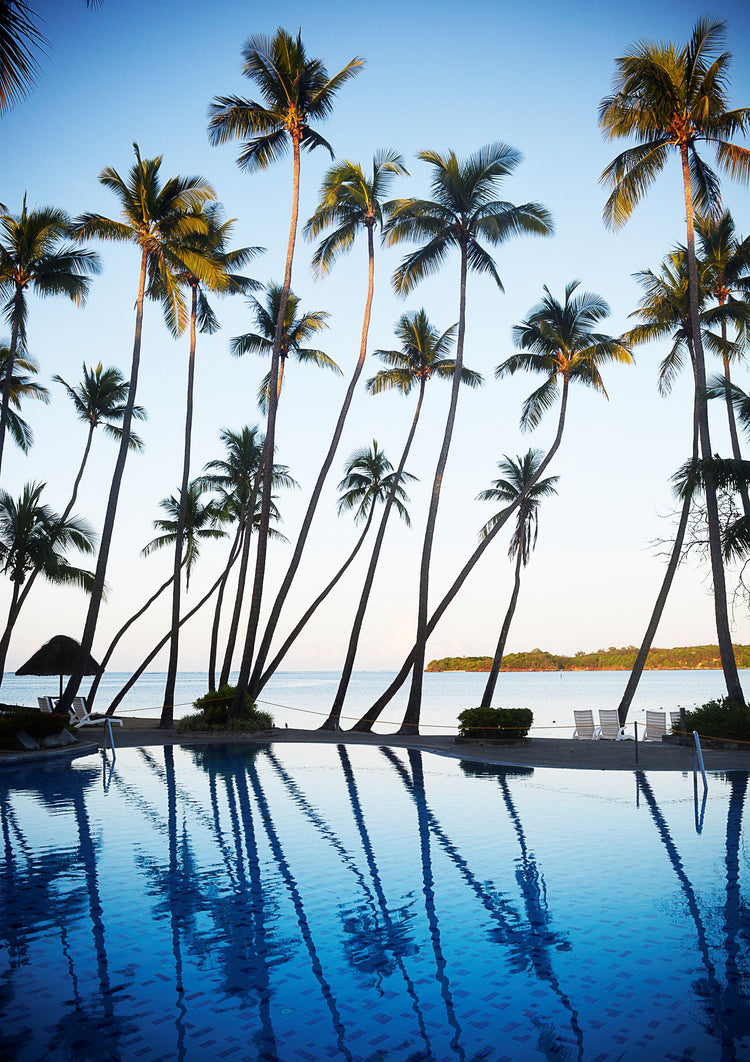 Resort Palm Trees Reflection, Fiji.