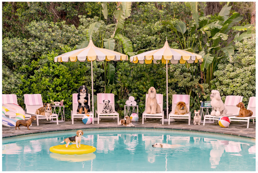 Pool Day at the Parker, Palm Springs