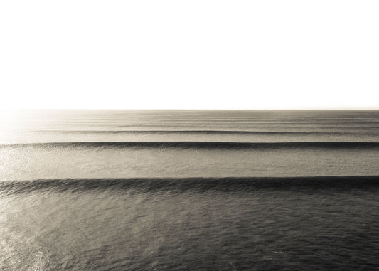 Sepia Swell