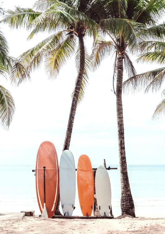 Surfboards resting against Palm Trees, Sri Lanka .