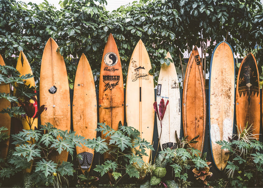 Surfboard Line-up