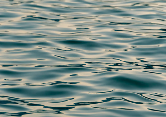 Water Ripples