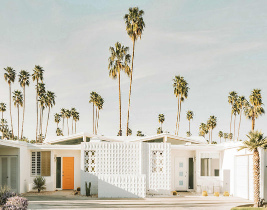 White House Palm Trees