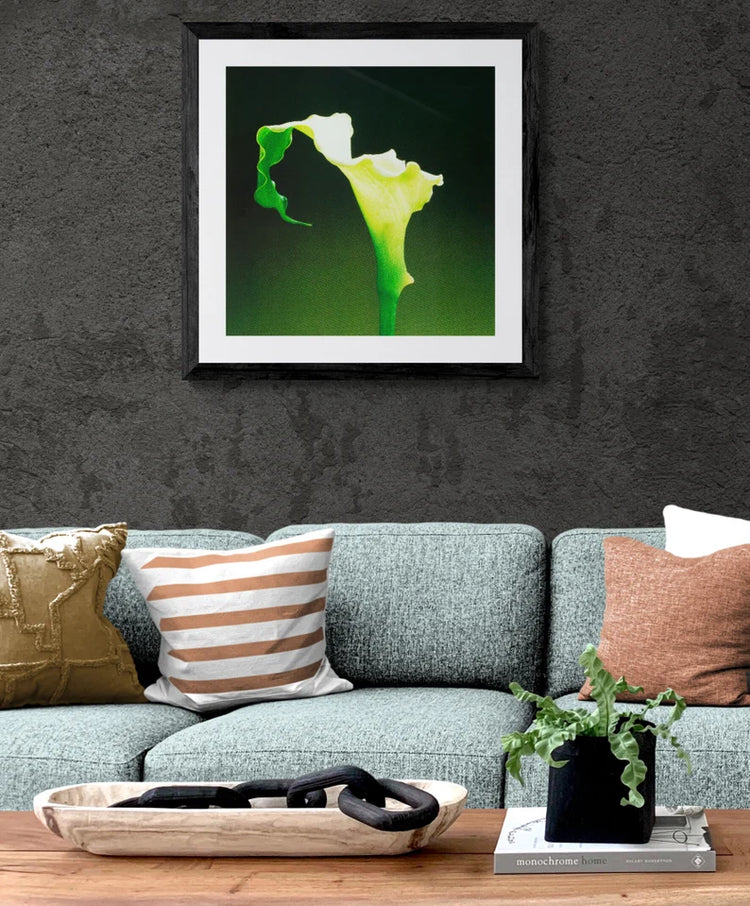 Calla Lily - Iris